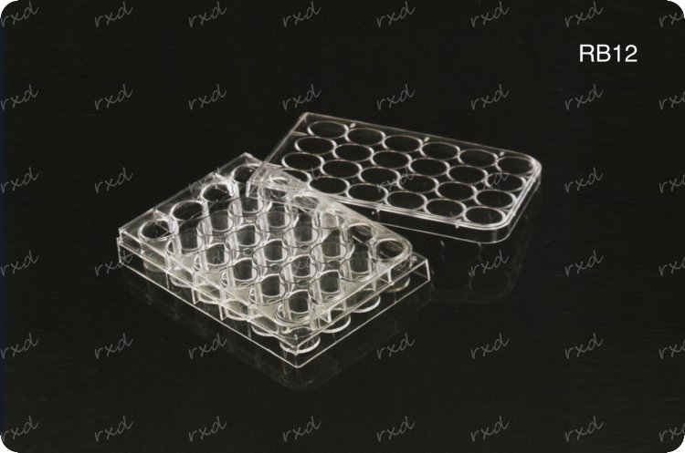 Petri dishes, Culture Plate