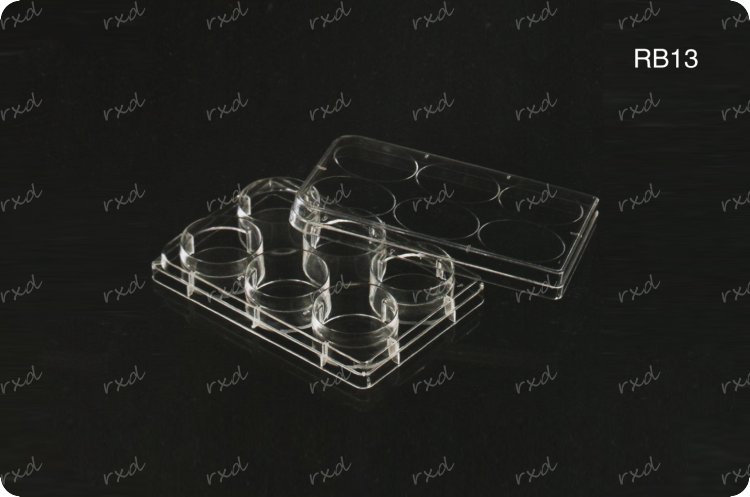 培养皿、培养板